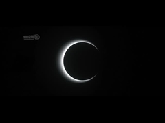 AC100-240V 스피드 게이트 개찰구 오피스 빌딩 광 스피드 배리어 게이트